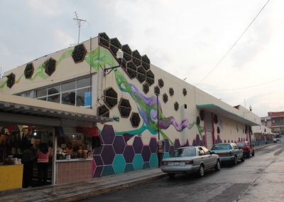 018 Padre Mercado, Madre de siglos, intervención artística en el Mercado Jáureguim Xalapa, Veracruz